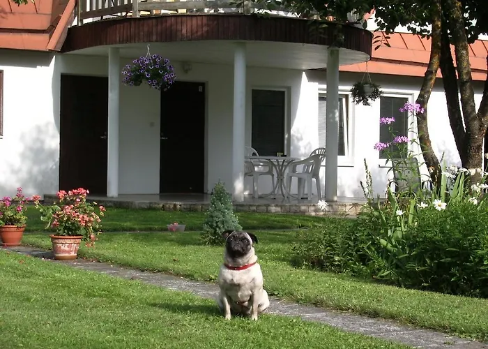 Guest house Maenni *